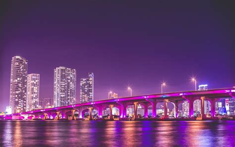 purple city of india